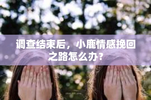 调查结束后，小鹿情感挽回之路怎么办？