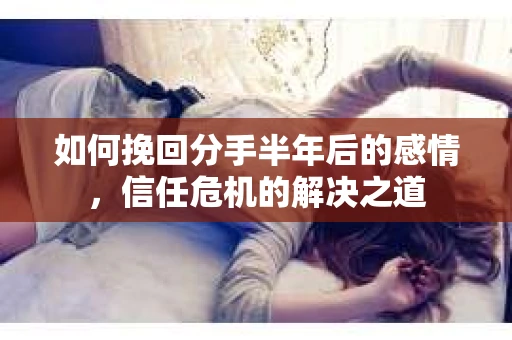 如何挽回分手半年后的感情，信任危机的解决之道