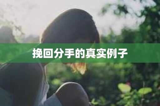 挽回分手的真实例子
