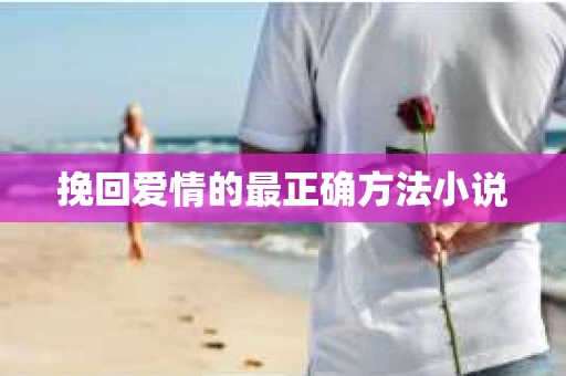挽回爱情的最正确方法小说