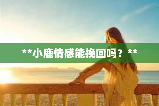 **小鹿情感能挽回吗？**