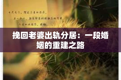 挽回老婆出轨分居：一段婚姻的重建之路