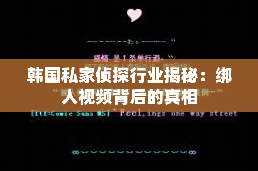韩国私家侦探行业揭秘：绑人视频背后的真相