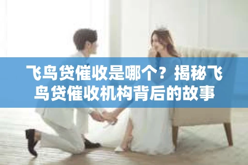 飞鸟贷催收是哪个？揭秘飞鸟贷催收机构背后的故事