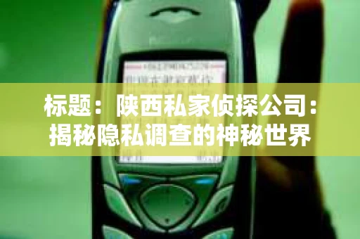 标题：陕西私家侦探公司：揭秘隐私调查的神秘世界