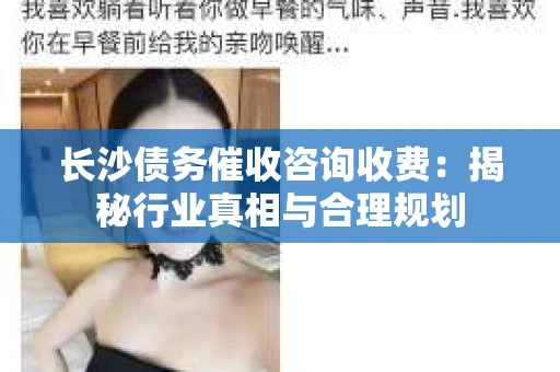 长沙债务催收咨询收费：揭秘行业真相与合理规划