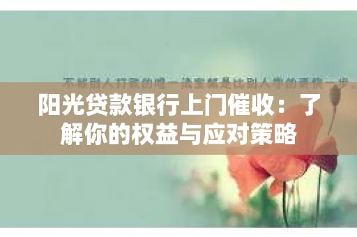 阳光贷款银行上门催收：了解你的权益与应对策略