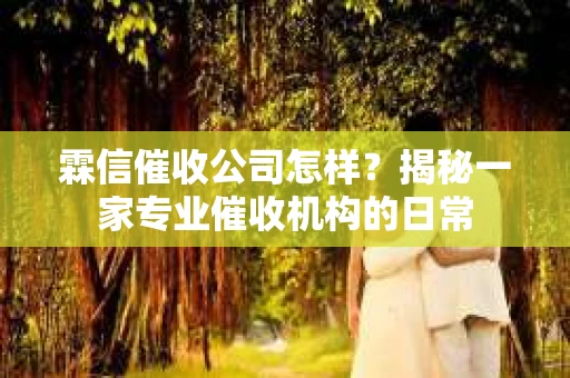 霖信催收公司怎样？揭秘一家专业催收机构的日常