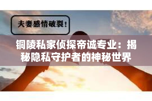 铜陵私家侦探帝诚专业：揭秘隐私守护者的神秘世界