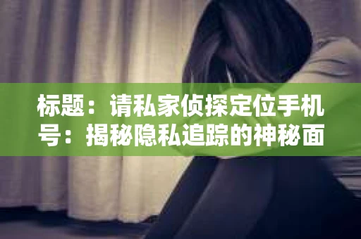 标题：请私家侦探定位手机号：揭秘隐私追踪的神秘面纱