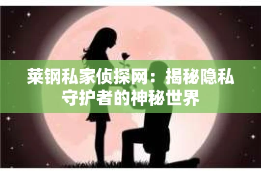 莱钢私家侦探网：揭秘隐私守护者的神秘世界