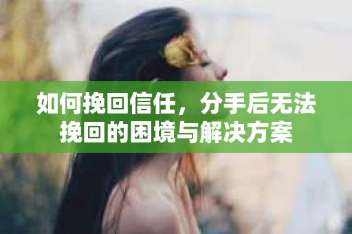 如何挽回信任，分手后无法挽回的困境与解决方案