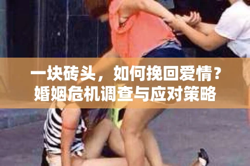 一块砖头，如何挽回爱情？婚姻危机调查与应对策略