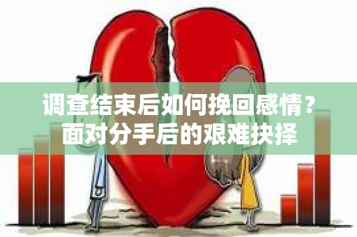调查结束后如何挽回感情?面对分手后的艰难抉择 调查结束后如何挽回感情?面对分手后的艰难抉择