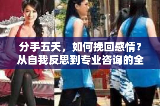 分手五天,如何挽回感情?从自我反思到专业咨询的全面解决方案 分手五天,如何挽回感情?从自我反思到专业咨询的全面解决方案