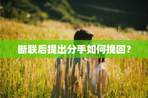断联后提出分手如何挽回? 断联后提出分手如何挽回?