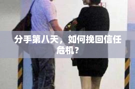 分手第八天，如何挽回信任危机？