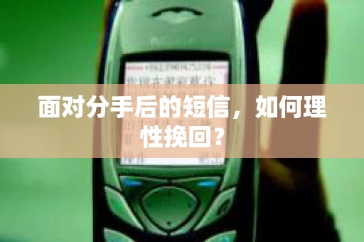 面对分手后的短信，如何理性挽回？