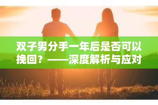 双子男分手一年后是否可以挽回？——深度解析与应对策略